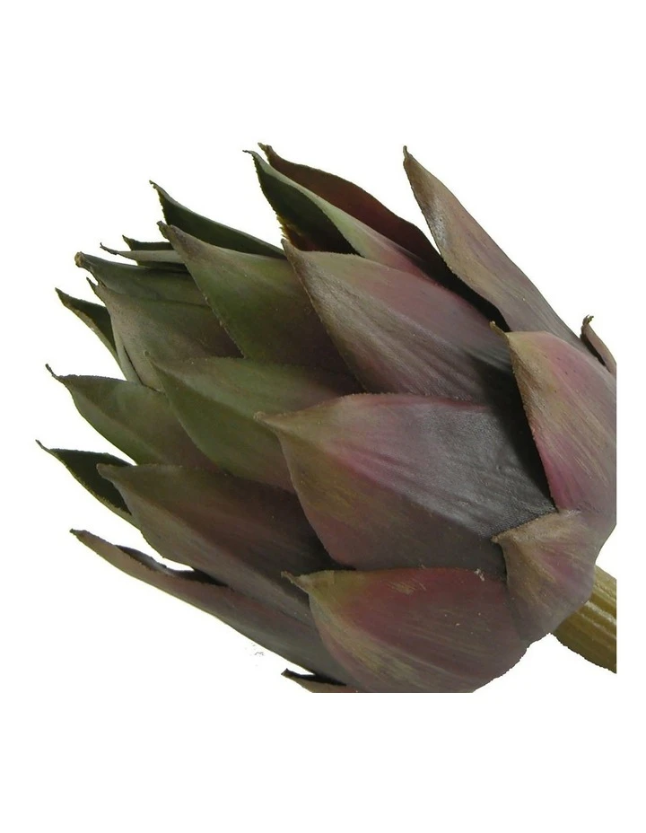 Best Pirce π Rogue Artichoke Head 8x8x13cm In Purple β¨ 2 Best Pirce π Rogue Artichoke Head 8x8x13cm In Purple β¨ - Image 2