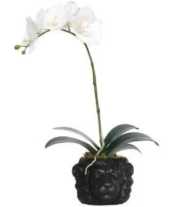 Best deal 💯 Vicky Yao Exclusive Design Real Touch Artificial Orchid Arrangement In Black Lion Head Pot ❤️