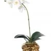 Best deal ✨ Vicky Yao Exclusive Design Real Touch Artificial Orchid Arrangement In Lion Head Golden Pot ⌛