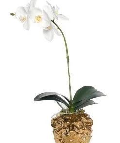 Best deal ✨ Vicky Yao Exclusive Design Real Touch Artificial Orchid Arrangement In Lion Head Golden Pot ⌛