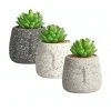 Brand new 👏 Cooper & Co Viso Artificial Gardens Pots Set of 3 ⌛