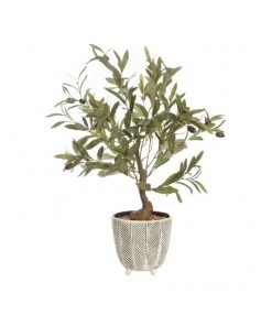 Brand new 🛒 Cooper & Co Artificial Olive Tree Ceramic Pot 🛒
