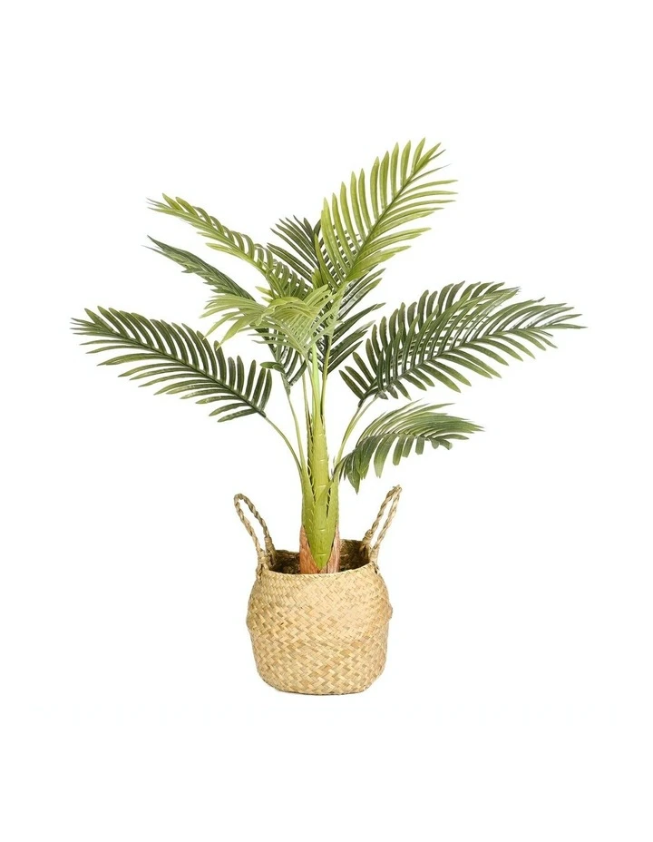 Cheapest βοΈ Cooper & Co Artificial Palm In Woven Basket π 1 Cheapest βοΈ Cooper & Co Artificial Palm In Woven Basket π