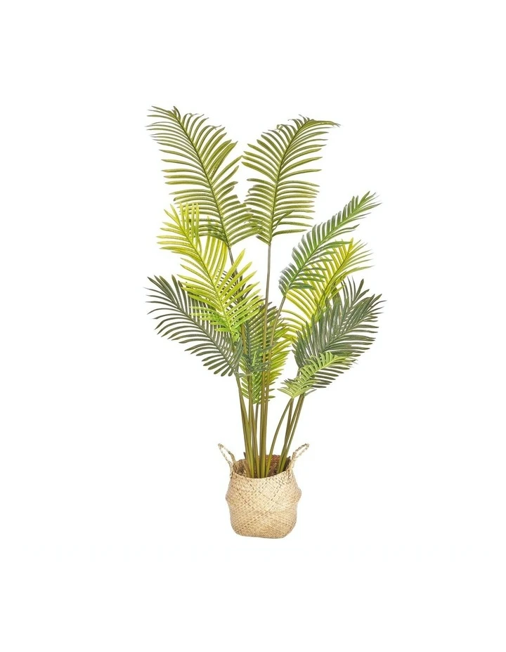 Budget βοΈ Cooper & Co Artificial Phoenix Palm In Woven Basket π 1 Budget βοΈ Cooper & Co Artificial Phoenix Palm In Woven Basket π
