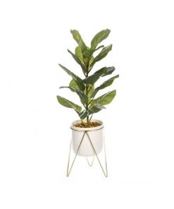 Hot Sale 🌟 Cooper & Co Potted Fiddle Leaf On Stand ✨