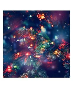 Cheap 😍 Milano Décor Solar Powered Outdoor Fairy Lights 200 Lights Multicoloured 10003389 ⌛ -Deals Home Décor Store 890424640 6 720x928